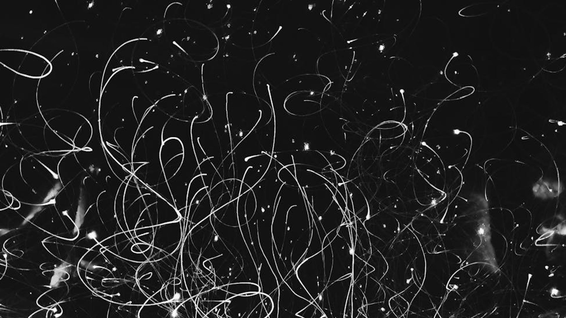 Abstract gentle light trails symbolizing fluid movement and energy.